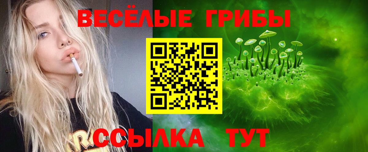 Красноармейск  Псилоцибиновые грибы мухоморы  Вход с VPN 